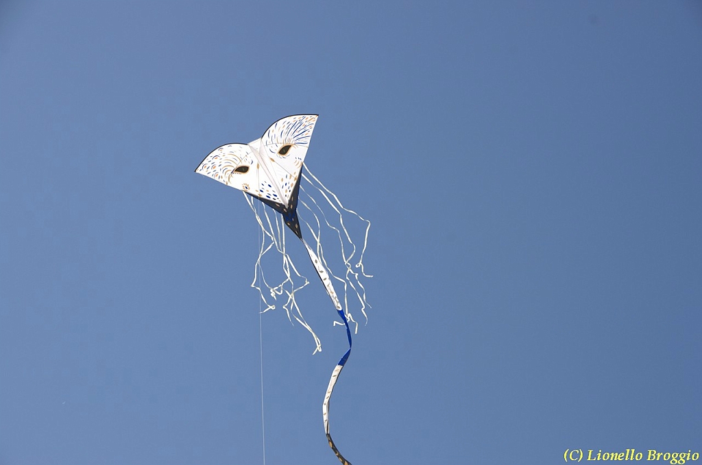 32 FESTIVAL CERVIA 2012 - 241.jpg